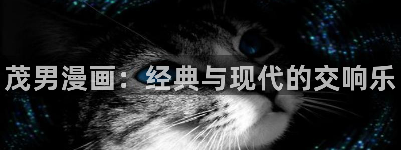 私密教学漫画土豪漫画：茂男漫画：经典与现代的交响乐